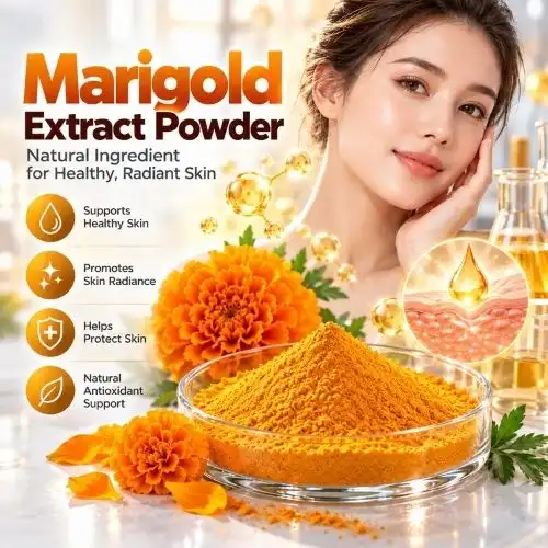 What Are the Benefits of Marigold Extract for Natural Skin Care Uses?